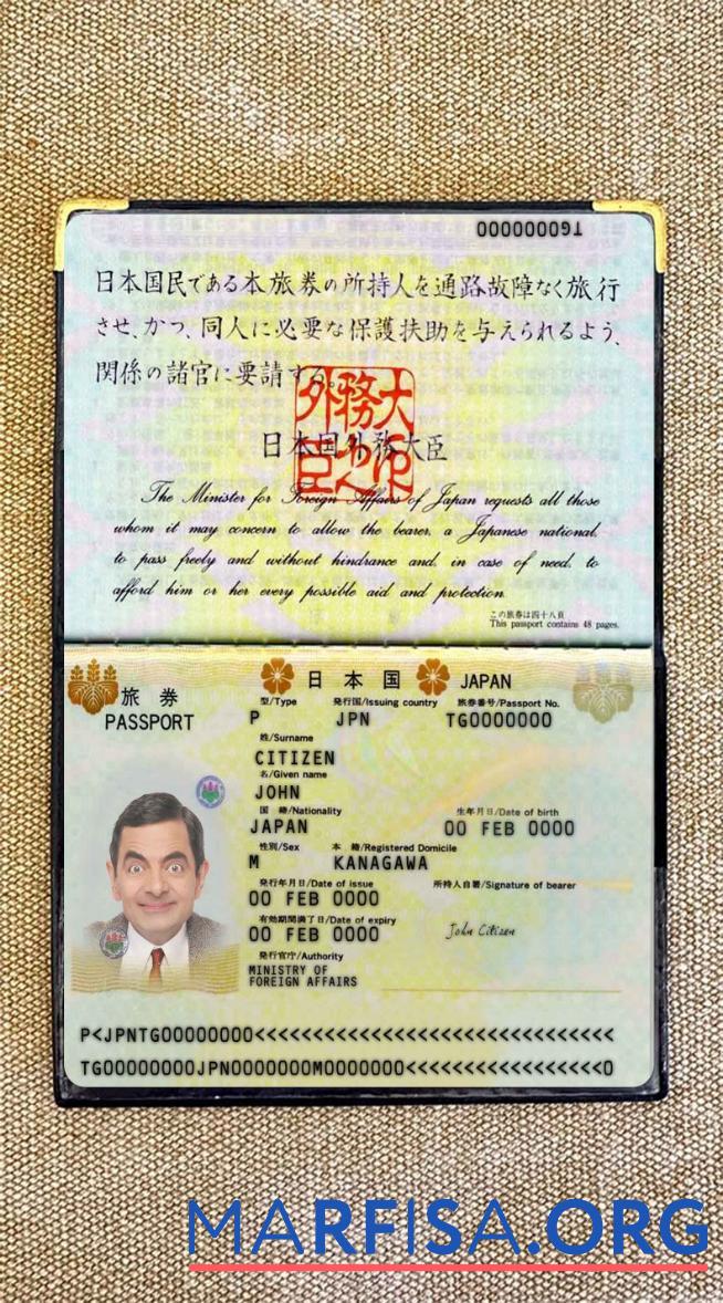 Downloadable Japan passport 2005 2015 photo look template